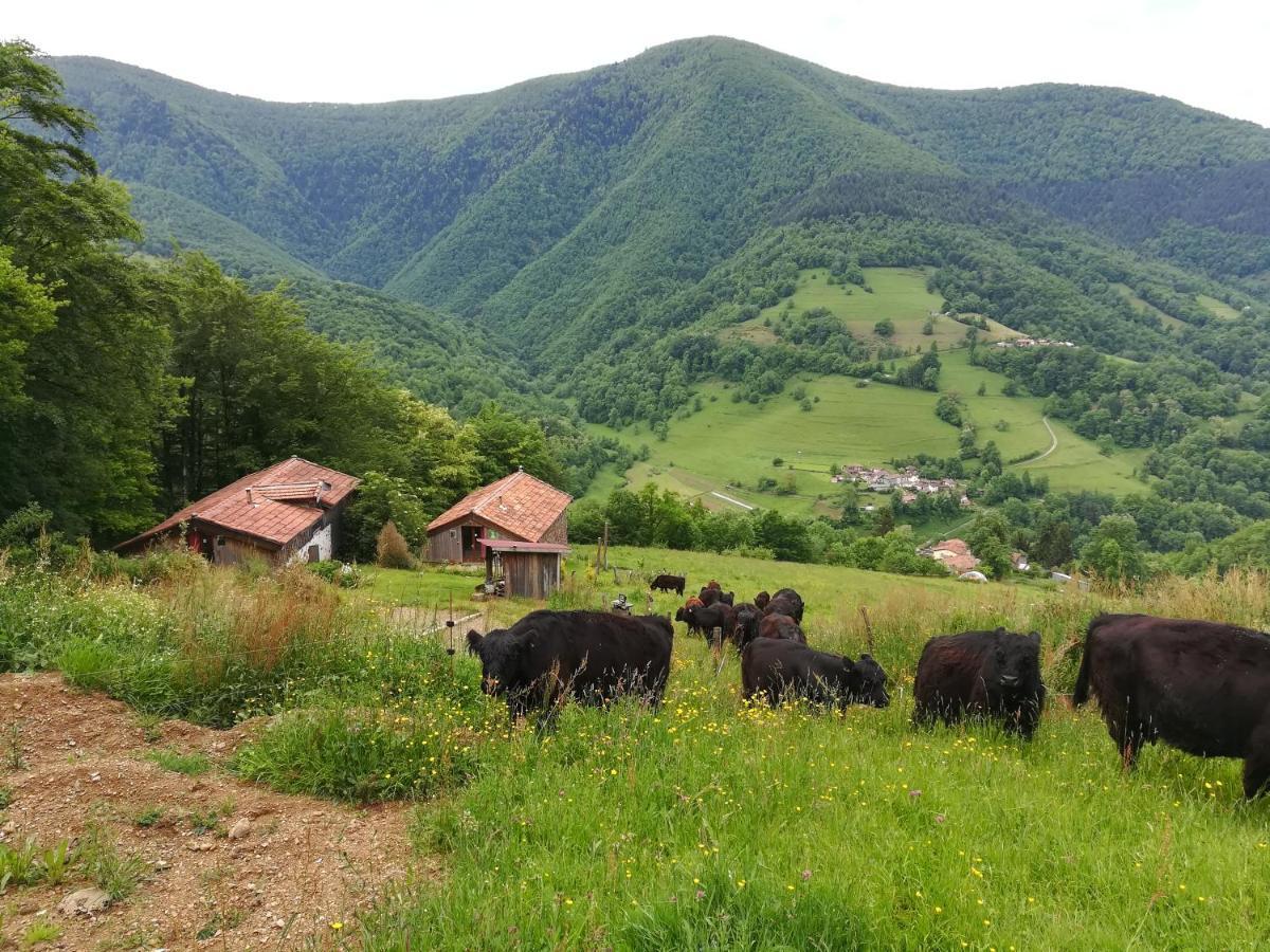 Du Pic Chalet Riverenert
